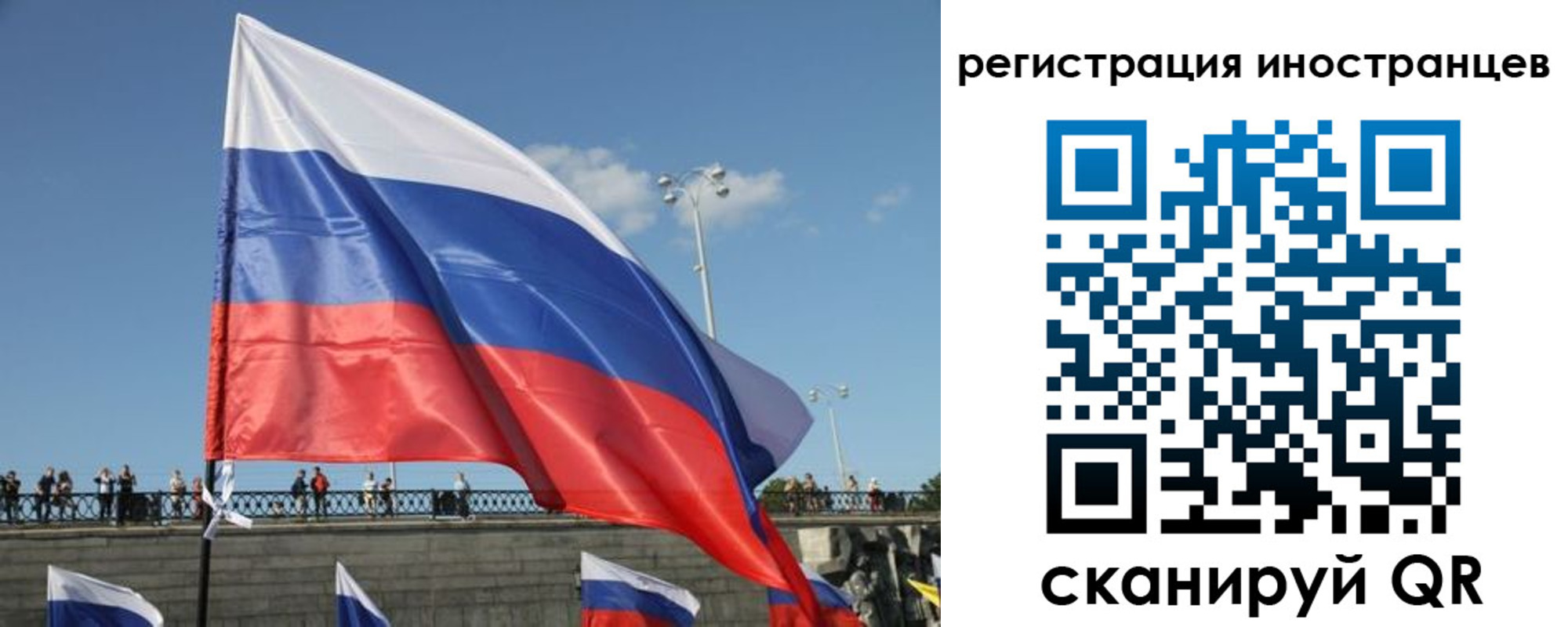 где прописаться в Каргополе
